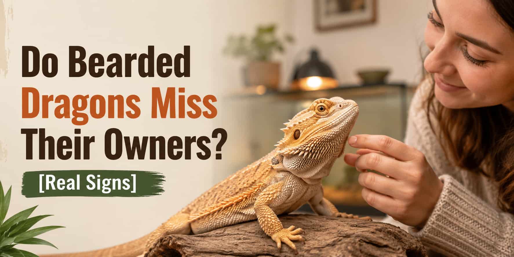 Do Bearded Dragons Miss Their Owners [Real Signs]