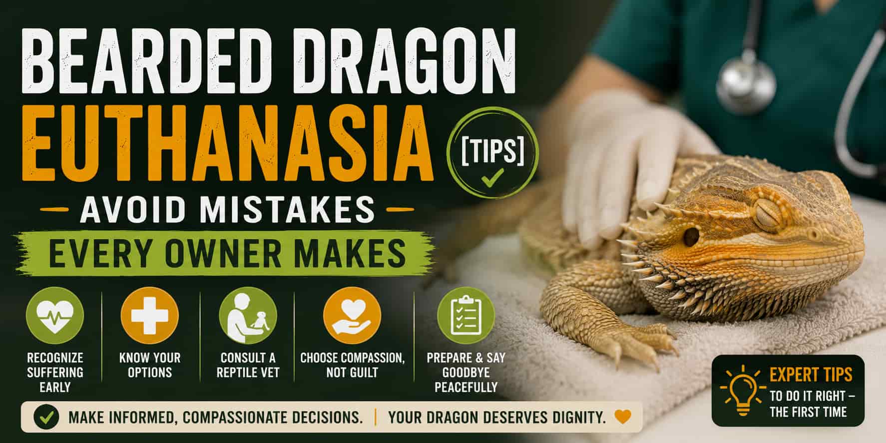 Bearded Dragon Euthanasia – Avoid Mistakes Every Owner Makes [Tips]
