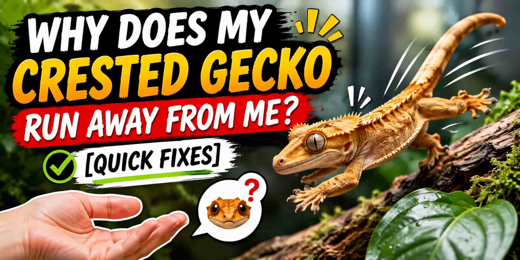 Why Does My Crested Gecko Run Away From Me [Quick Fixes]